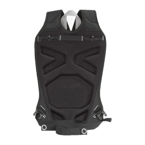Ortlieb Sakwa Carrying System