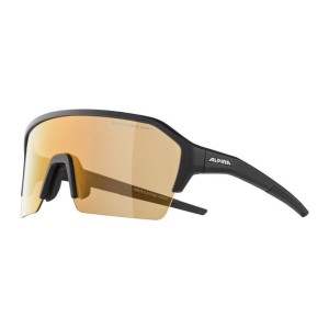 Okulary Alpina Ram HR Q-Lite V Black Matt