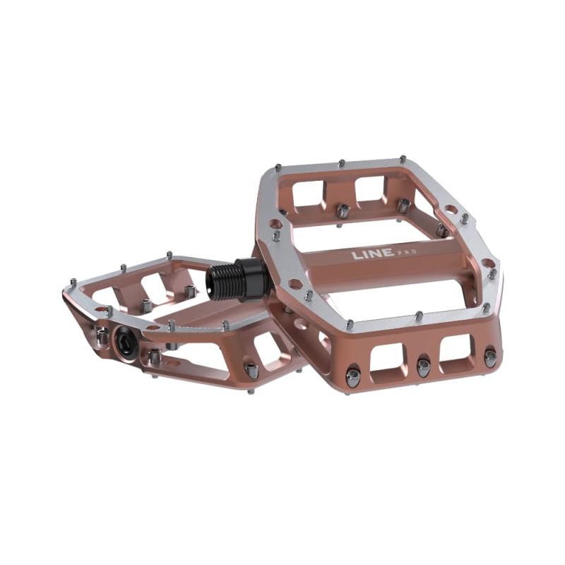 TrekLineProFlatPedal-41410-B-Primary.jpg