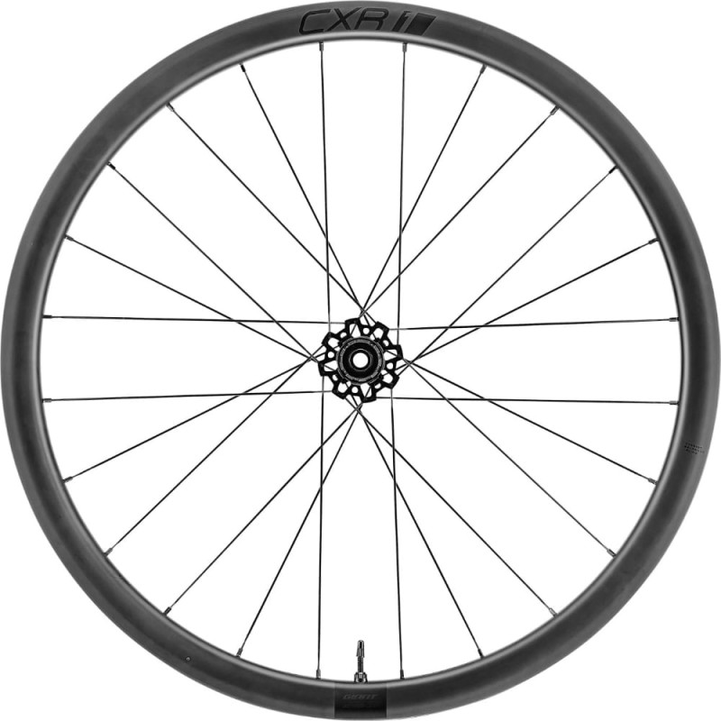 CXR-1-RW-350000289-1.jpg