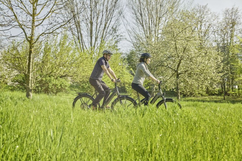 46708ce6bfd3802bcb6c272b790e772e