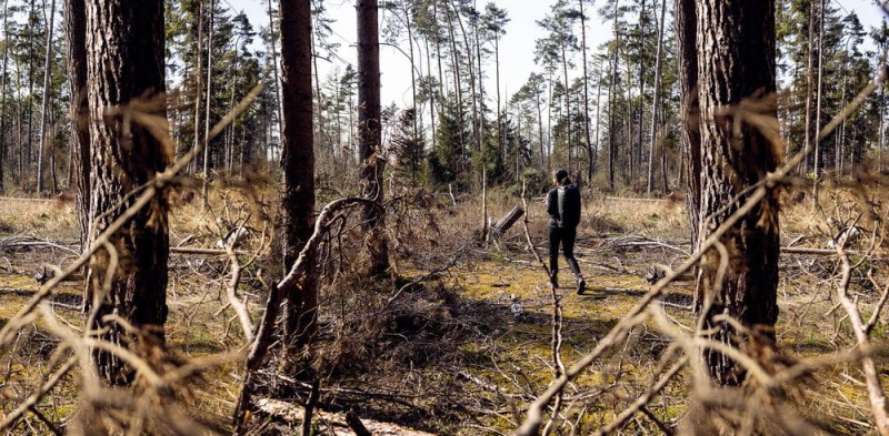 0718c50233b3bd0b7e9be698c1b1c4a3