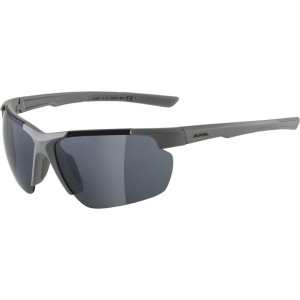Okulary Alpina Defey HR Moon-Grey Matt