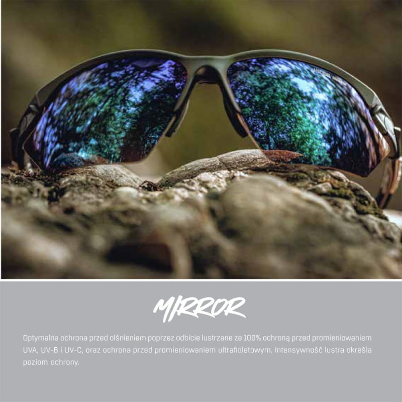 alpina-okulary-defey-kolor-tin-black-matt-szklo-br (3).jpg