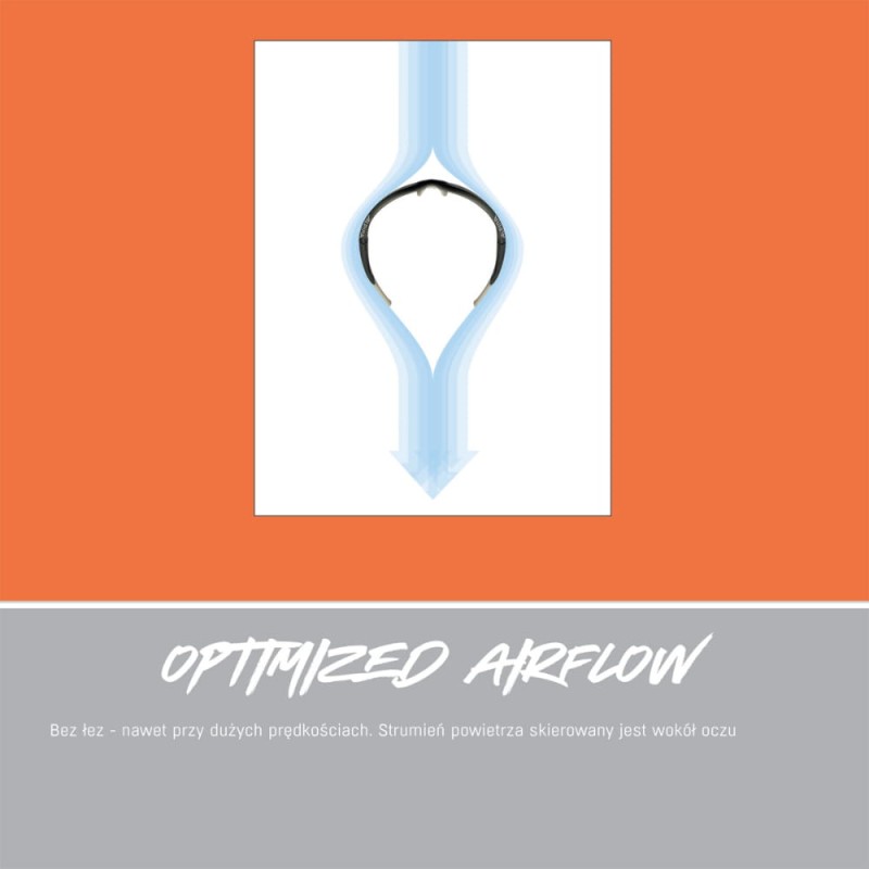 alpina-okulary-defey-kolor-tin-black-matt-szklo-br (5).jpg