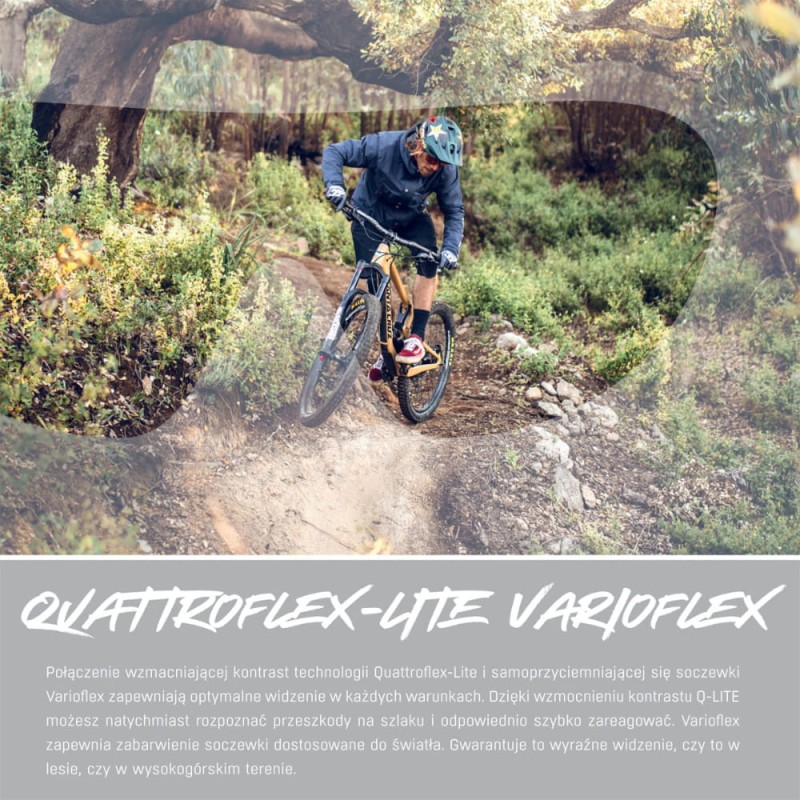 alpina-okulary-hawkeye-q-lite-v-kolor-black-matt-s (7).jpg