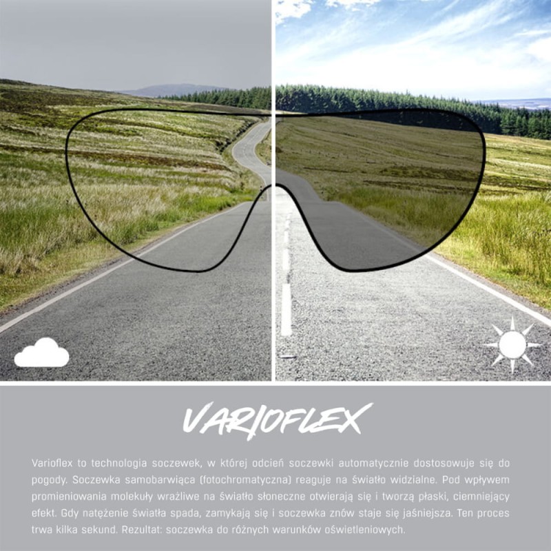 alpina-okulary-hawkeye-q-lite-v-kolor-black-matt-s (8).jpg