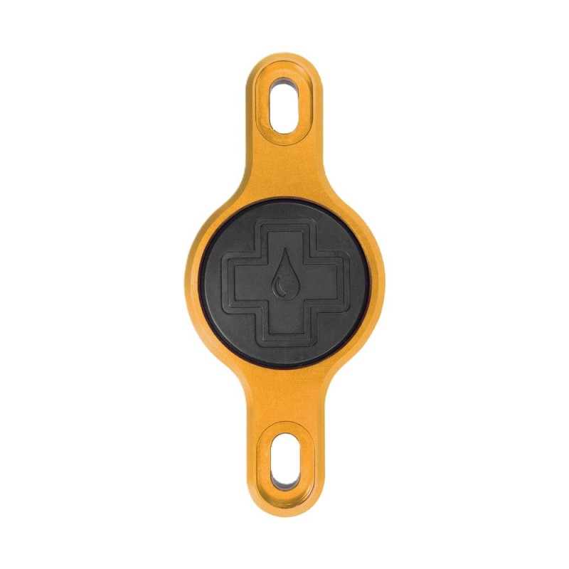 Gold-Secure-Tag-V3_1000x1000.jpg