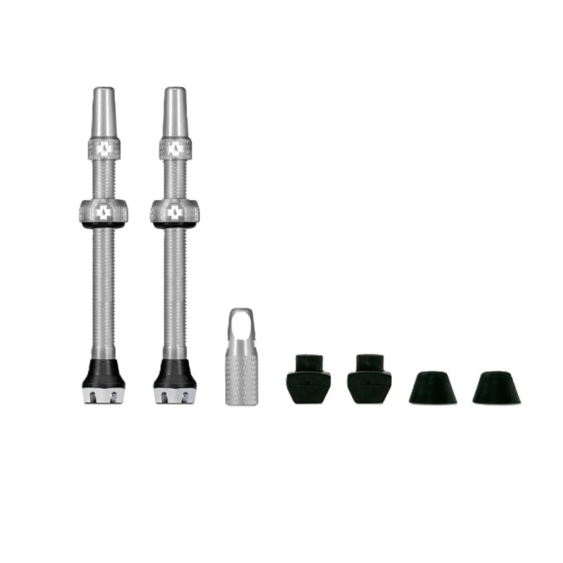 Web_SILVER_TUBELESS_PRESTA_VALVE__PAIR__2021_c936ae51-b1cf-475c-8170-c717e78fdc6f_850x850_crop_center.jpg