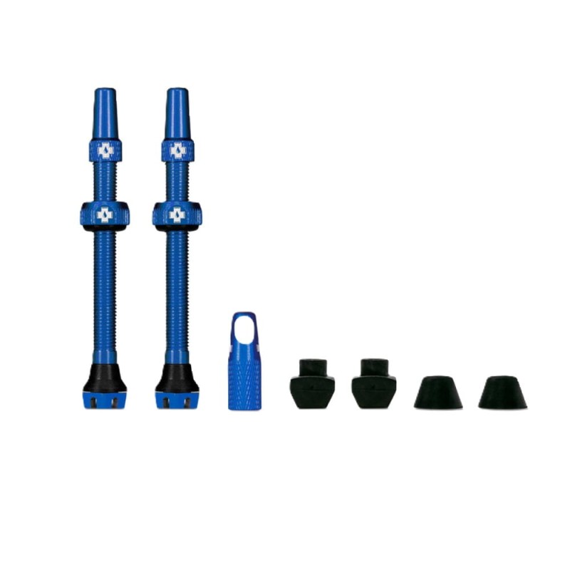 Web_BLUE_TUBELESS_PRESTA_VALVE__PAIR__2021_503d4a18-dc2d-4f80-b75e-526cc8aacec0_850x850_crop_center (1).jpg