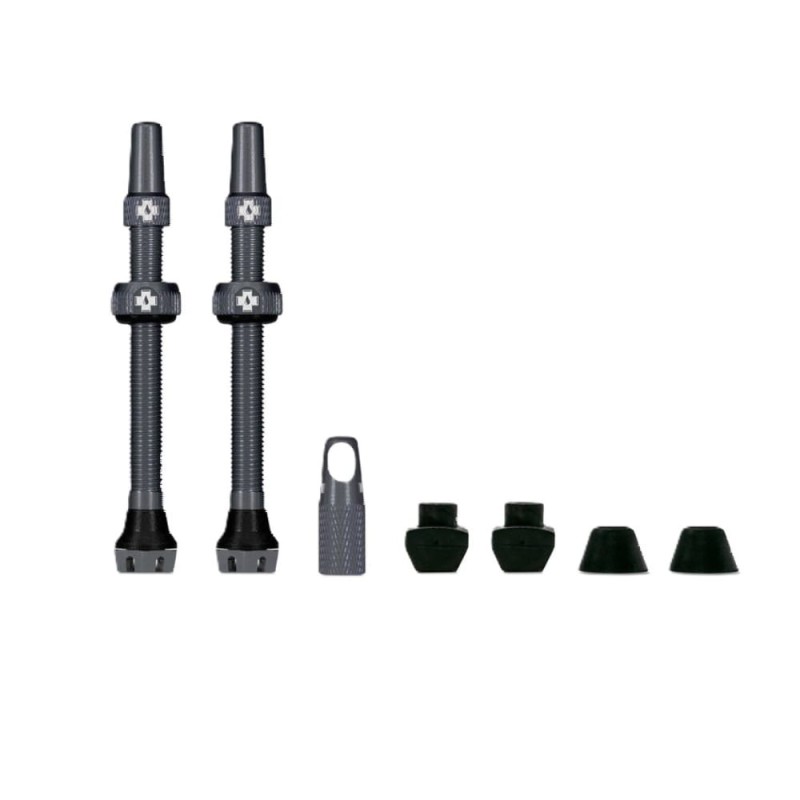 Web_Grey_TUBELESS_PRESTA_VALVE__PAIR__shaddow_1_850x850_crop_center (1).jpg