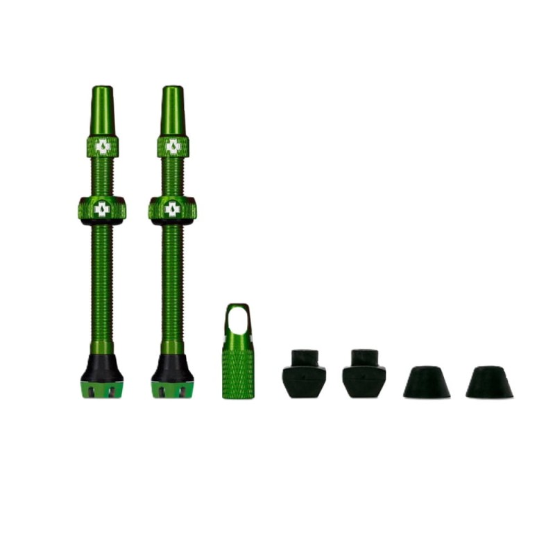 Web_GREEN_TUBELESS_PRESTA_VALVE__PAIR__darker_2021_850x850_crop_center (1).jpg