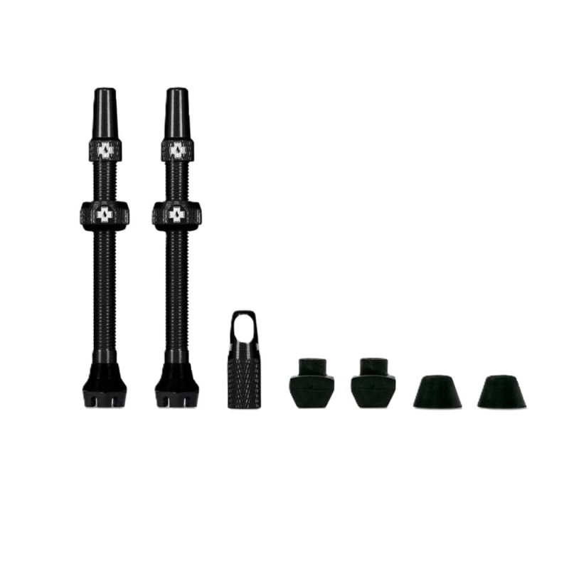 Web_BLACK_TUBELESS_PRESTA_VALVE__PAIR__2021_850x850_crop_center (1).jpg