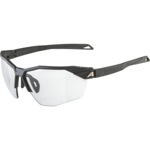 Okulary Alpina Twist Six HR V Black Matt/ Black S1-3