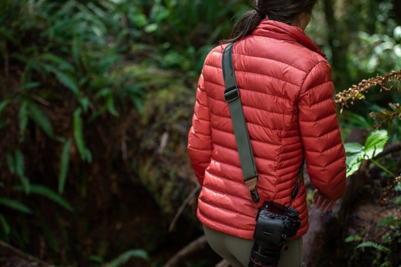 c2cfae650d4c49dd08e35693a6b1d5b5