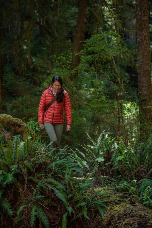 bd3b73b6896a8e1b20424912b8da25d1