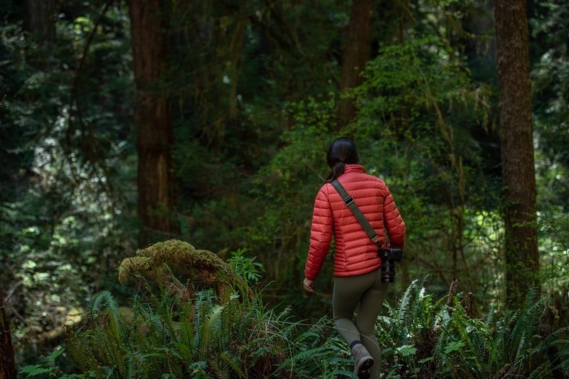 bab7017b93f62fbbff5256f088329146