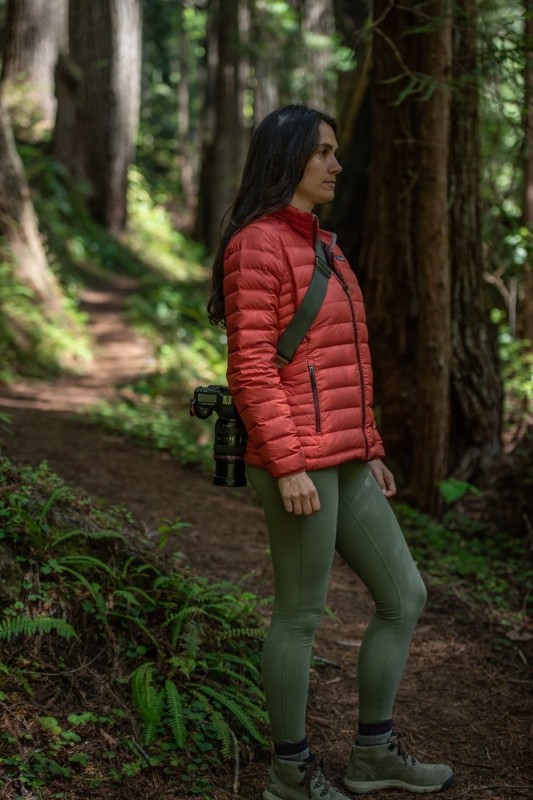 54bde38108362eb90544506b23b61704