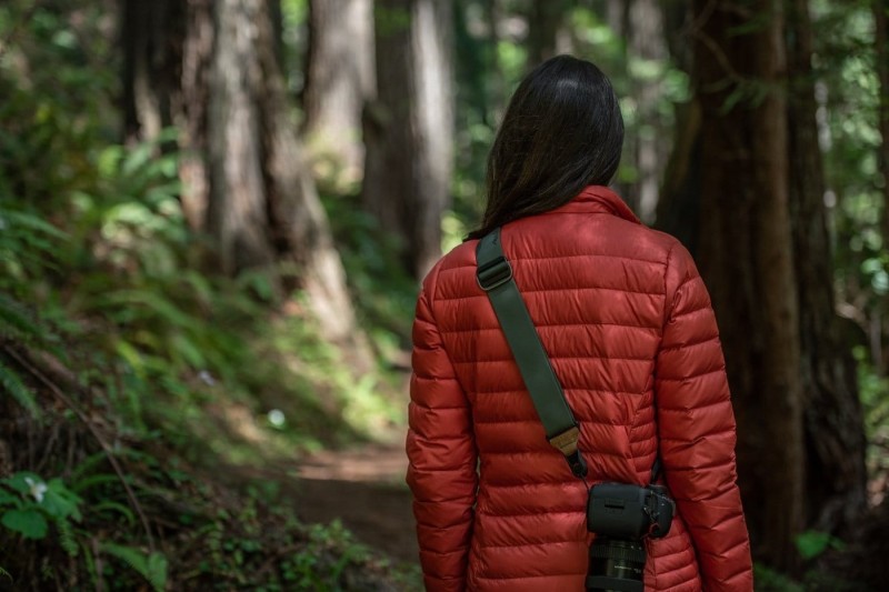 d260a979070ca72d8be2c663c95e591f