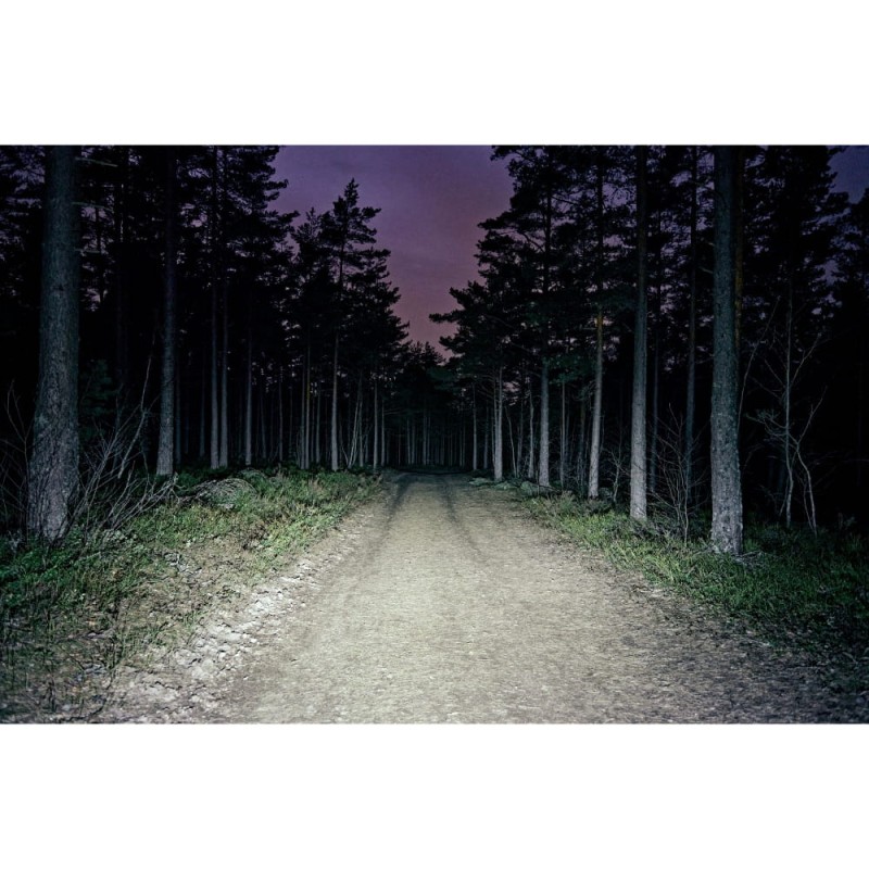 Bookman_120423_0994_small_b0d87ef6-84c7-4458-ab12-3626564311cc (1).jpg