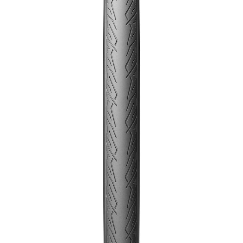 8019227443646_3.jpg