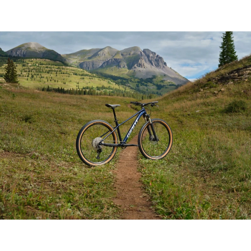 Rower MTB Giant Talon 0 Ultra Navy - widok roweru z tyłu