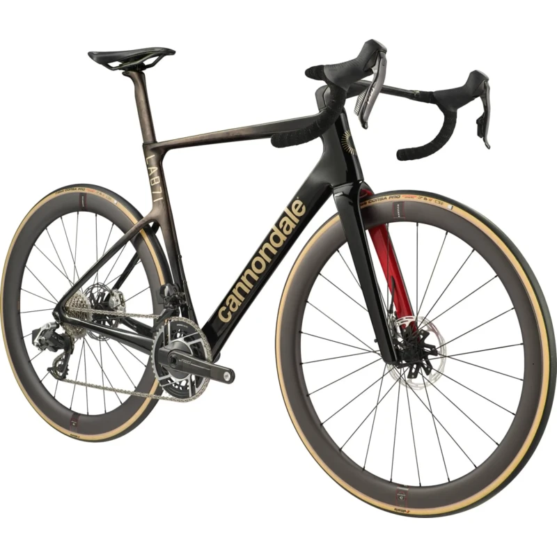 Rower szosowy Cannondale SuperSix EVO Hi-MOD LAB71 Burnt Pewter - widok roweru