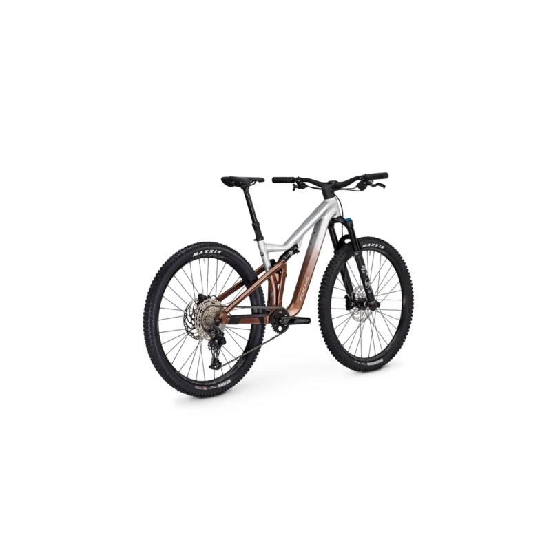 Rower MTB Focus Thron 6.9 Srebrno Brązowy - widok z tyłu