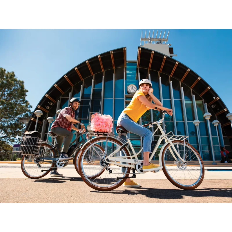 Rower elektryczny Electra Loft Go! 5i EQ Step-Thru 500Wh Beżowy - widok z akcesoriami
