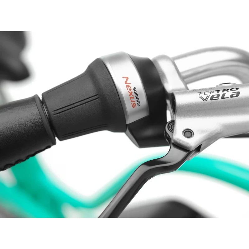 Rower elektryczny Electra Townie Go! 5i EQ Turkusowy - gripy