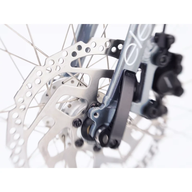 Rower elektryczny Electra Townie Path Go! 10D EQ Srebrny - widok tarczy