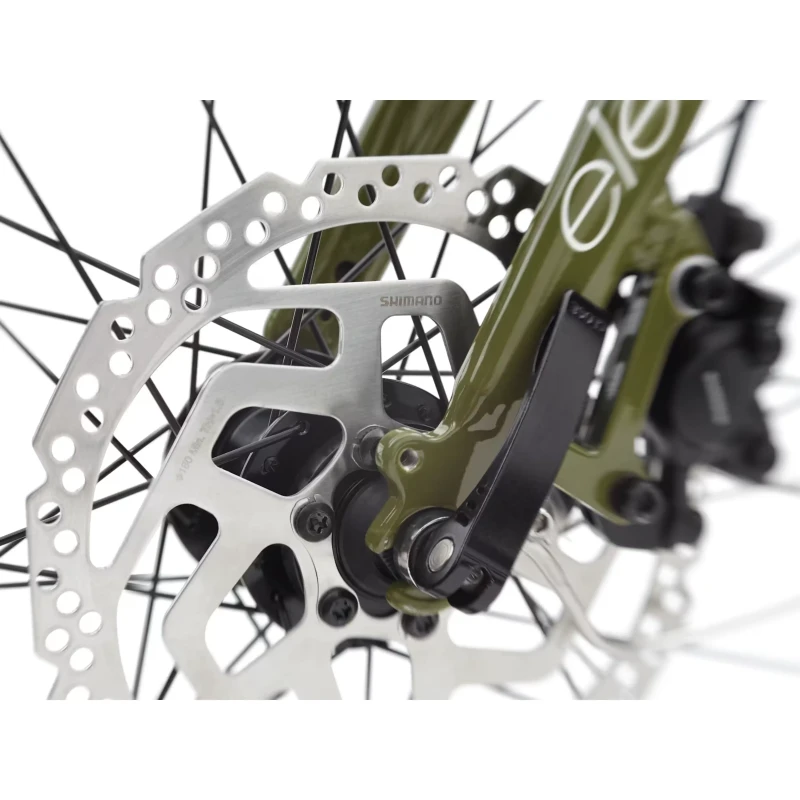 Rower elektryczny Electra Townie Path Go! 10D EQ Zielony - widok tarczy