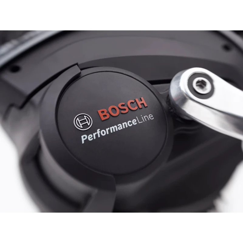 Rower elektryczny Electra Townie Path Go! 10D EQ Zielony