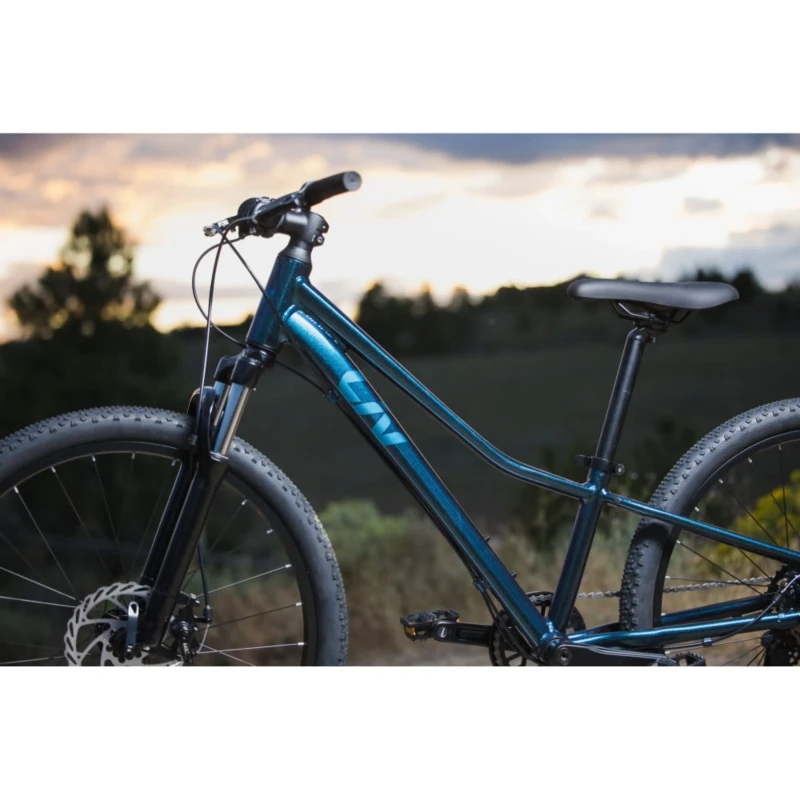 Rower dziecięcy Liv Tempt 24 Disc Granatowy