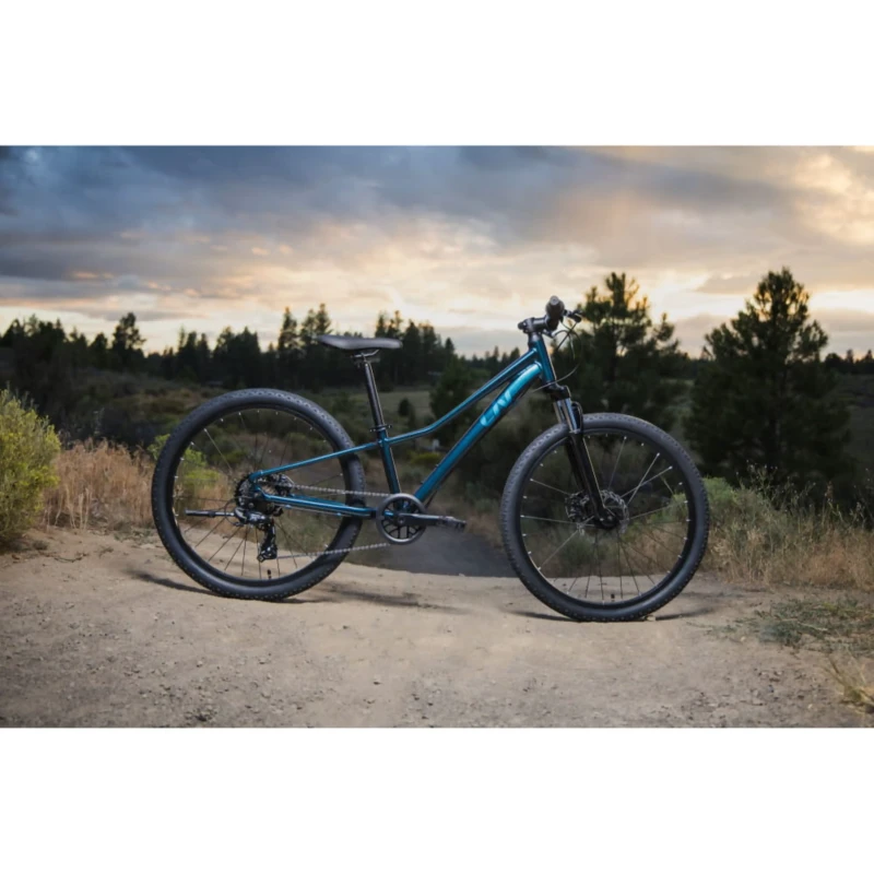 Rower dziecięcy Liv Tempt 24 Disc Granatowy - widok z boku