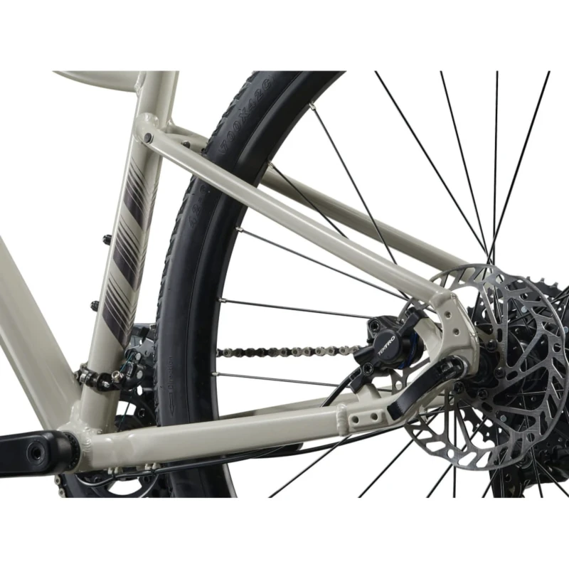 Rower crossowy Liv Rove 3 Pulp Gray - widok koła i piasty