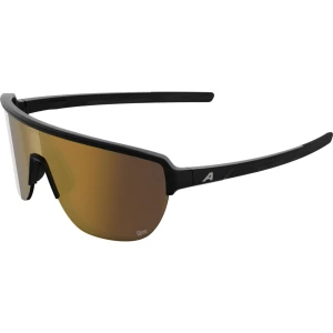 Okulary Alpina Ram 2.0 Q-Lite Black Matt/Gold