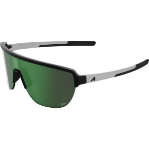 Okulary Alpina Ram 2.0 Q-Lite Black Matt-White/Green