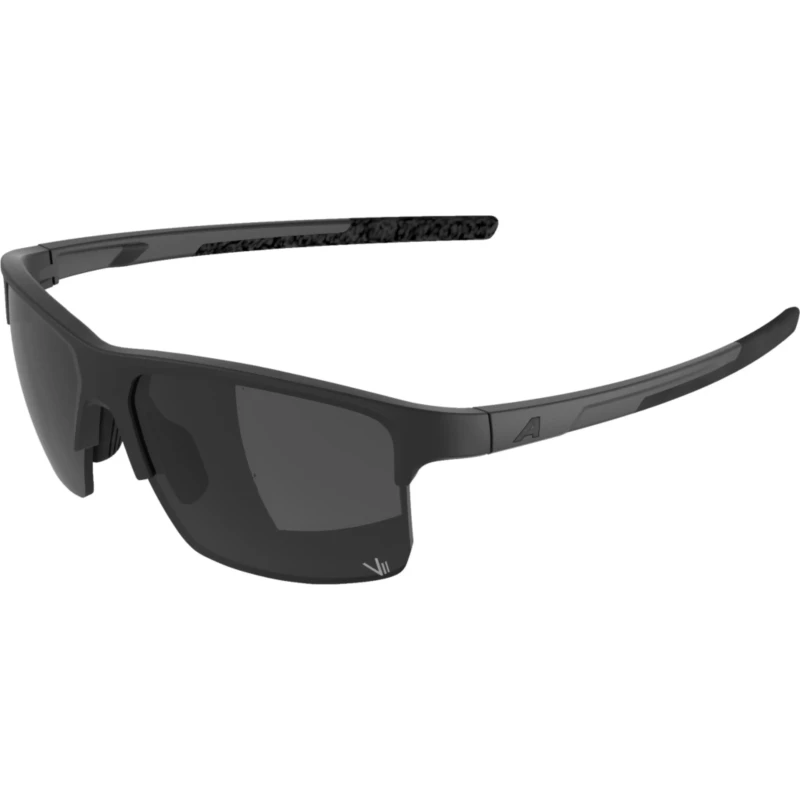 okulary-alpina-eagle-q-lite-black-matt-silver-1.webp