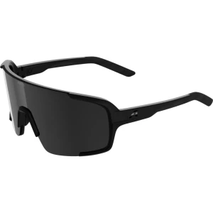 Okulary Alpina Lumin Black Matt/Black