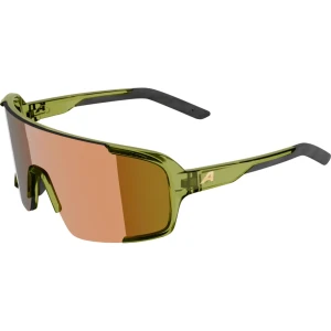Okulary Alpina Lumin Green Gloss/Gold